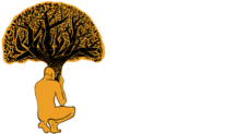 BaumRiese Baumdienst